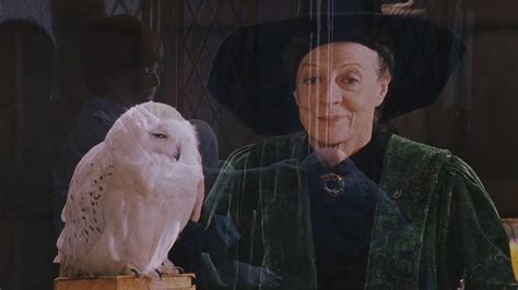 does harry's owl die|what happened to hedwig owl.